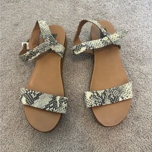 Steve Madden Snakeskin Women's Sandals
